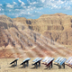 Illustration for article titled First Hybrid Solar Power Plant is a Jack Of All Trades